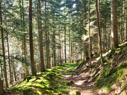 20220205202139-d7aed7b7